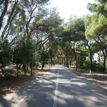 Διαμέρισμα Marjan Park, - Peaceful Family Place, Free Parking Σπλιτ